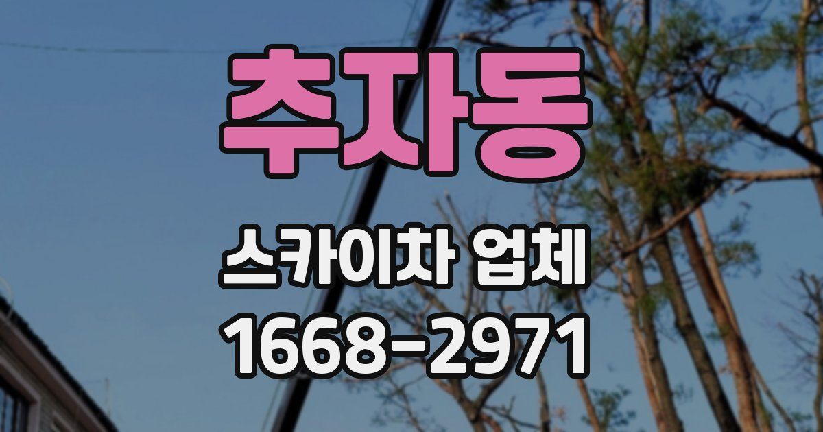 추자동 스카이차 업체