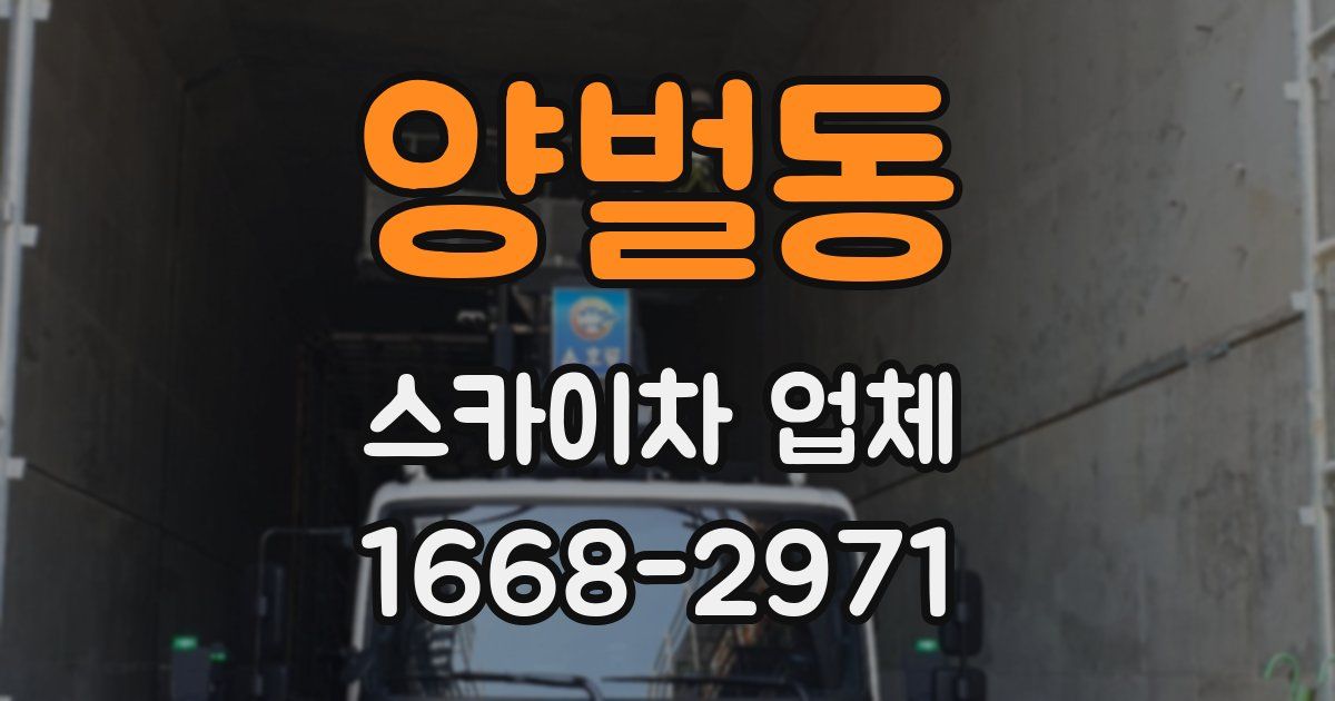 양벌동 스카이차 업체