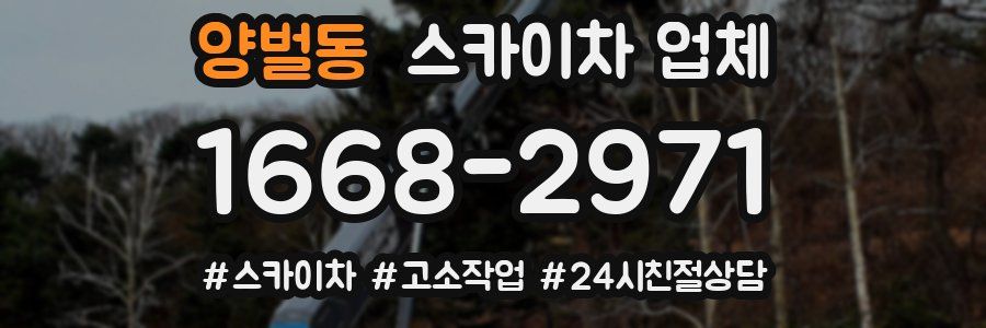양벌동 스카이차 업체