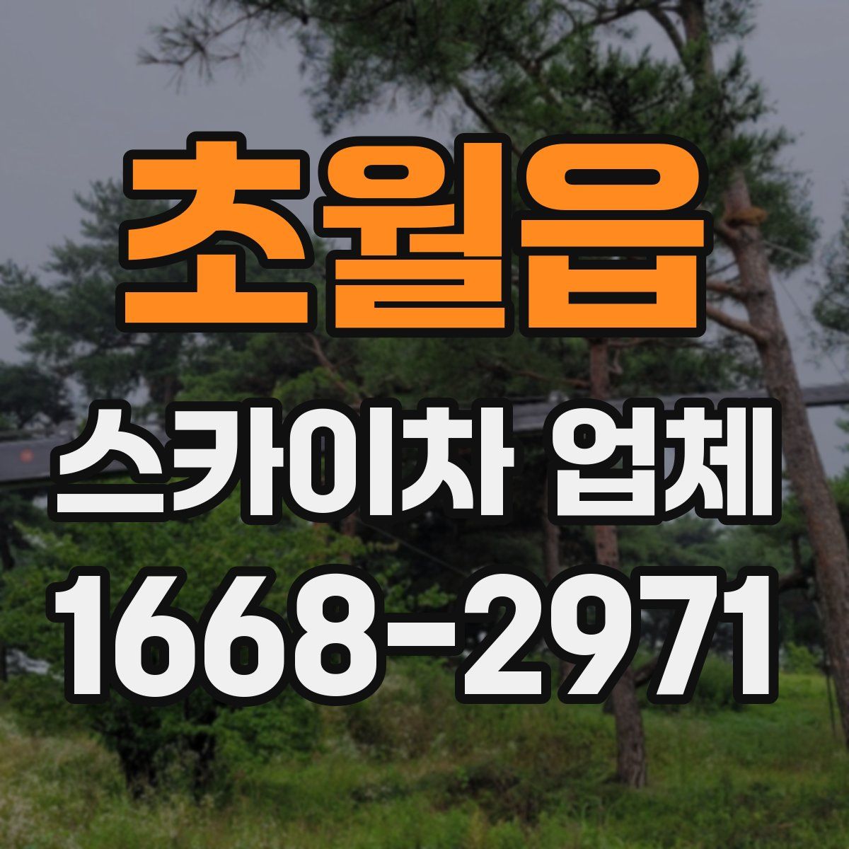 초월읍 스카이차 업체