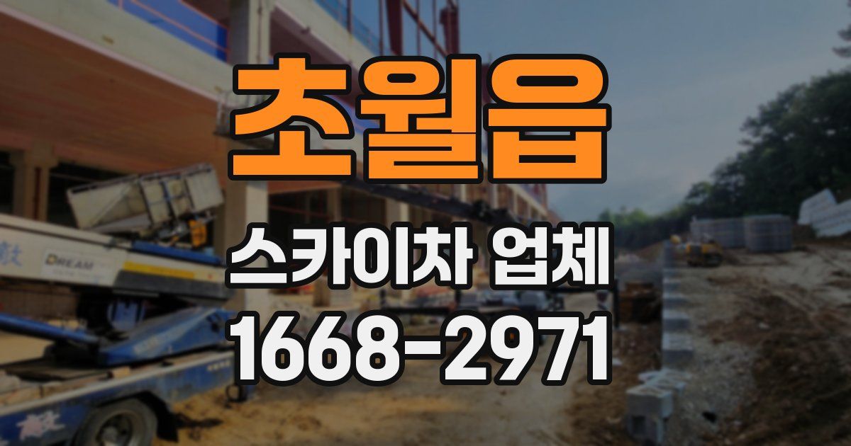 초월읍 스카이차 업체