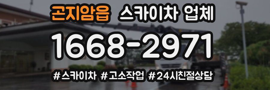 곤지암읍 스카이차 업체
