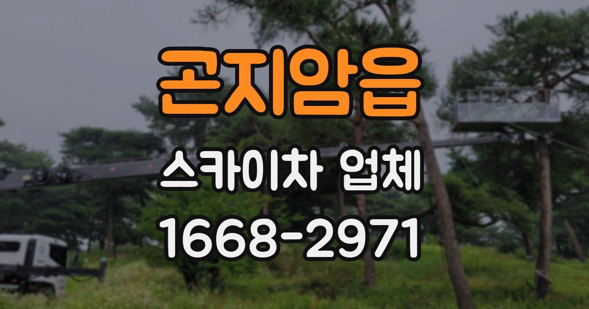 곤지암읍 스카이차 업체
