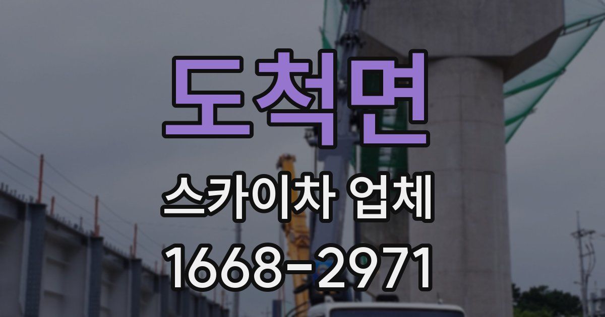 도척면 스카이차 업체