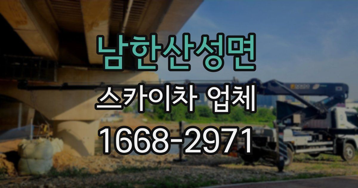 남한산성면 스카이차 업체