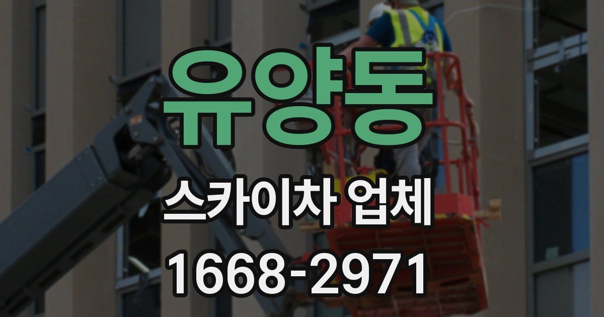 유양동 스카이차 업체