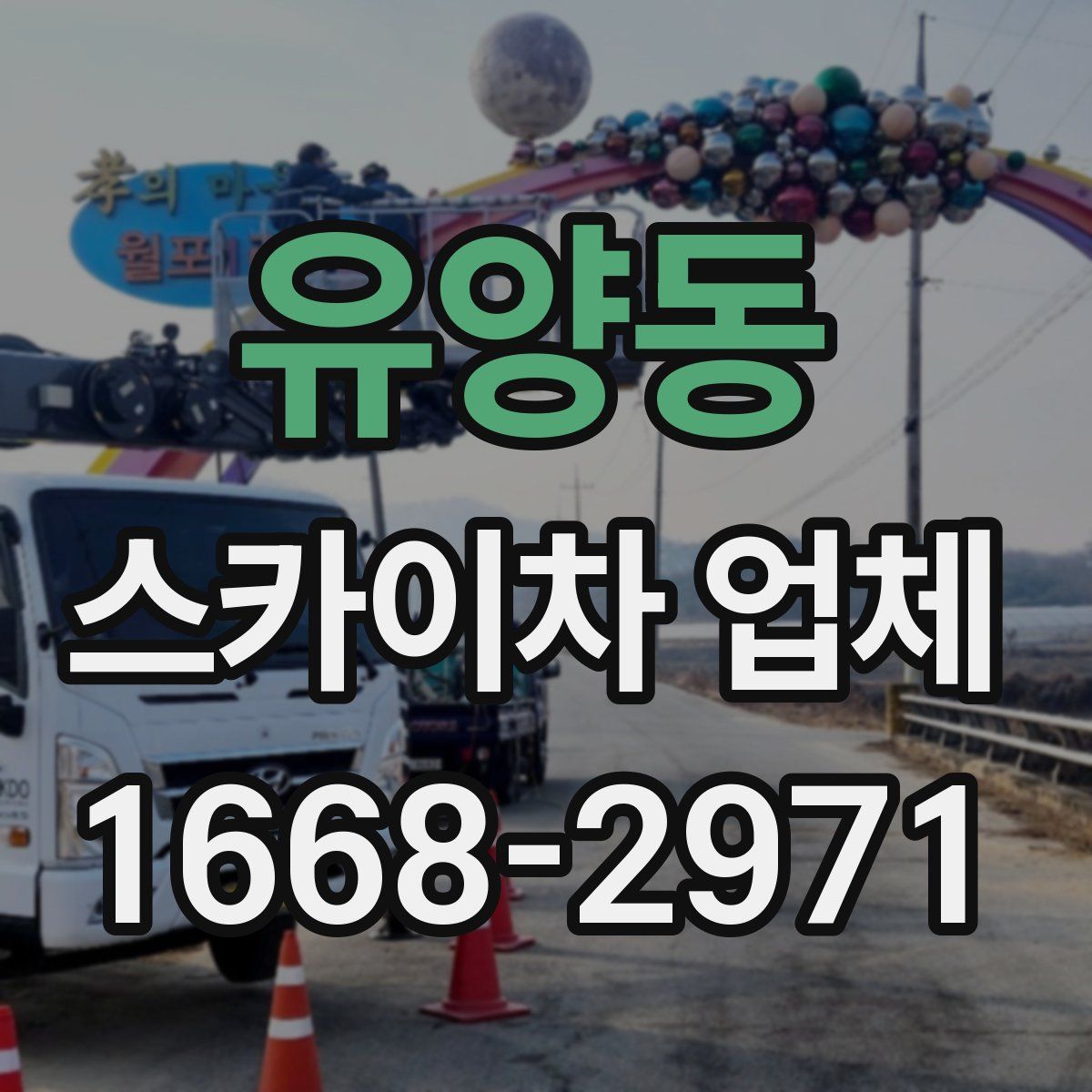 유양동 스카이차 업체