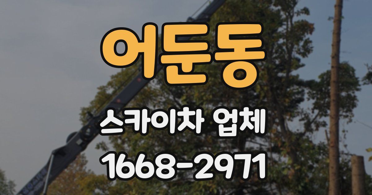 어둔동 스카이차 업체