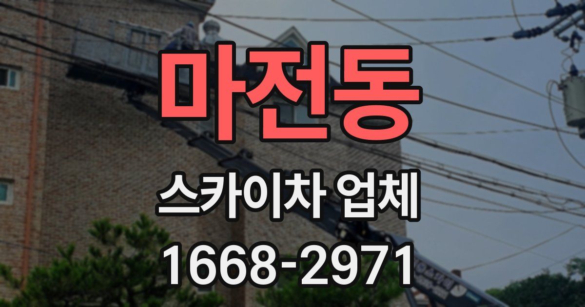 마전동 스카이차 업체