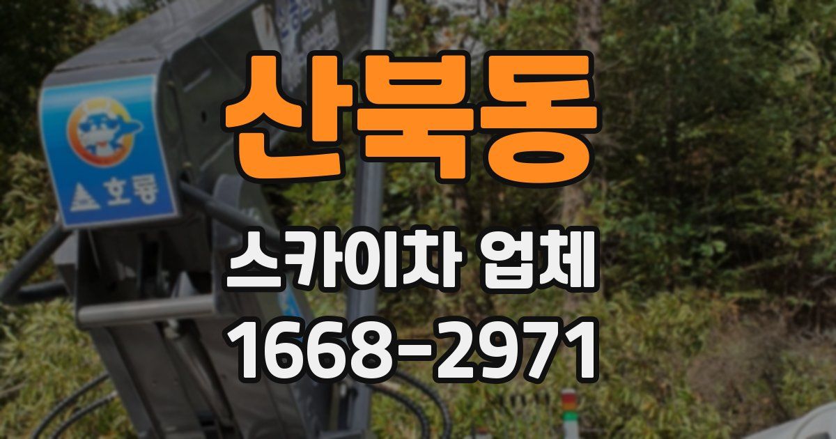 산북동 스카이차 업체