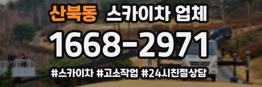 산북동 스카이차 업체