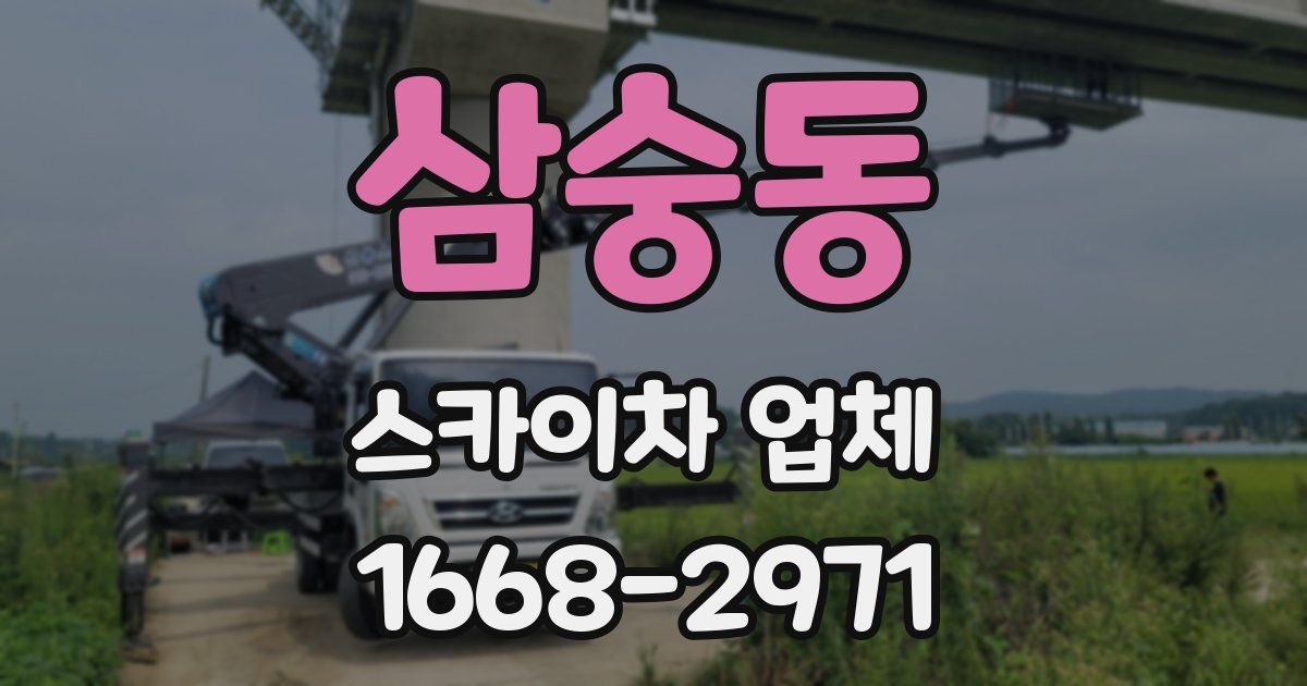 삼숭동 스카이차 업체
