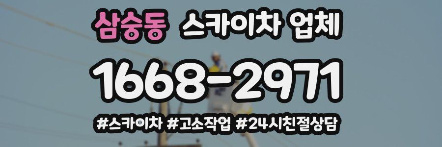 삼숭동 스카이차 업체