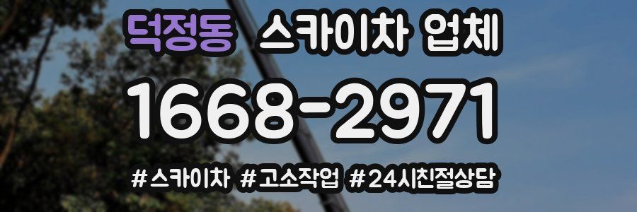 덕정동 스카이차 업체