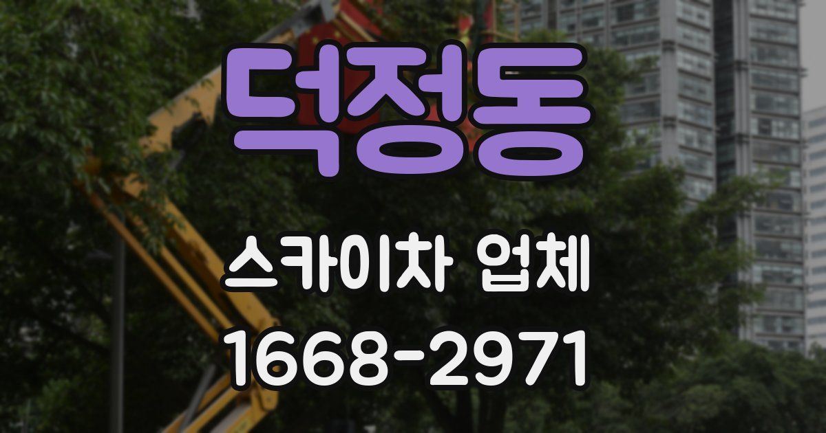 덕정동 스카이차 업체