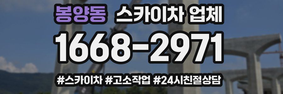 봉양동 스카이차 업체