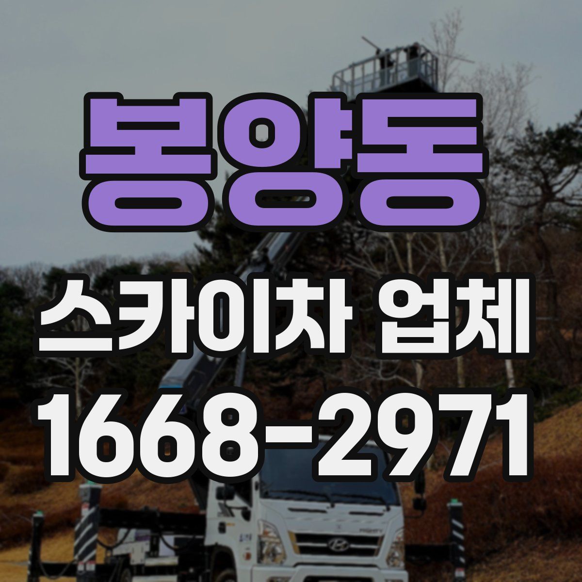 봉양동 스카이차 업체