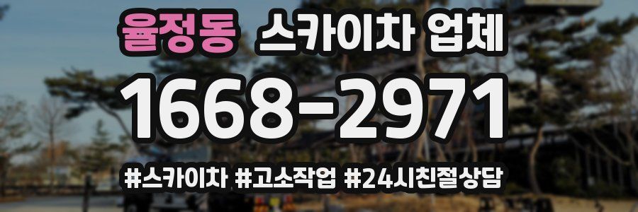 율정동 스카이차 업체