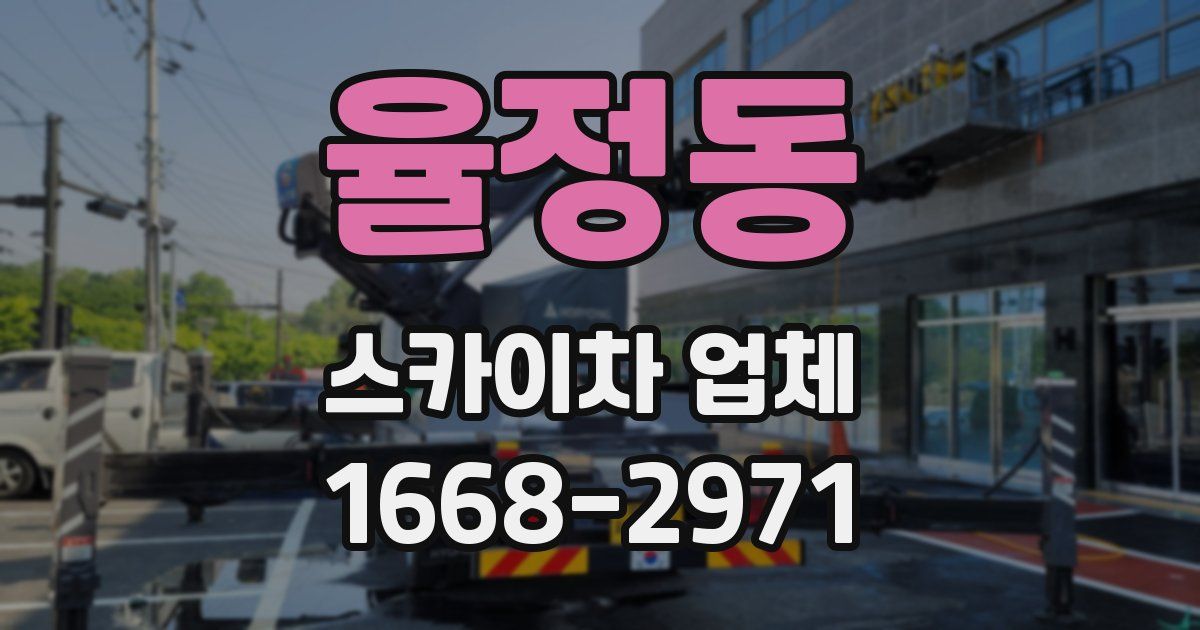 율정동 스카이차 업체