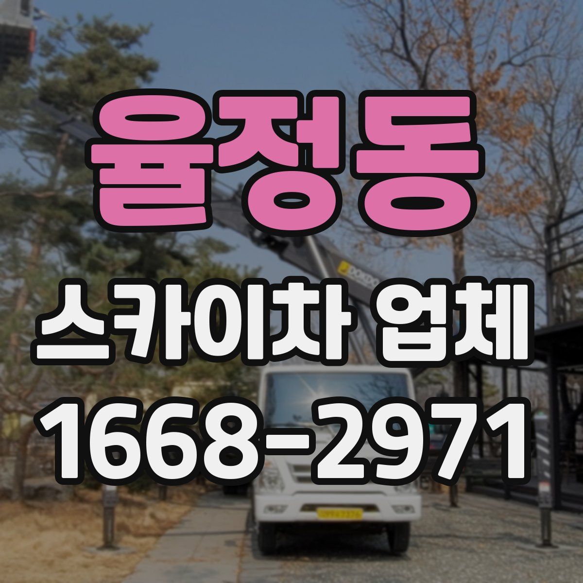 율정동 스카이차 업체