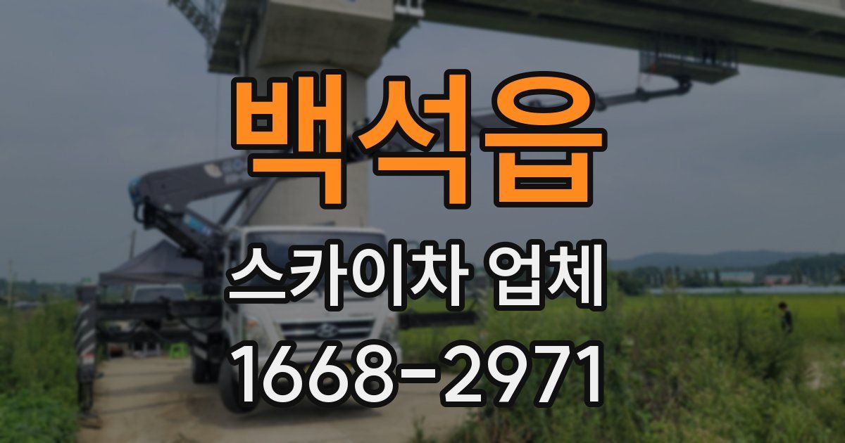 백석읍 스카이차 업체