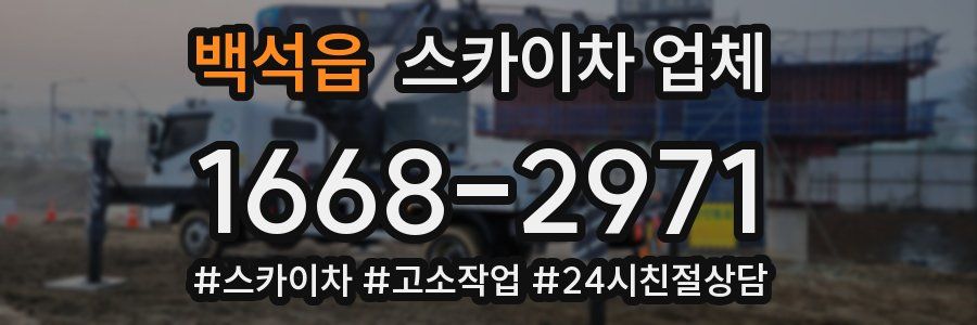 백석읍 스카이차 업체