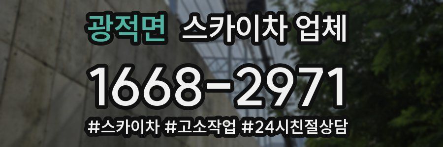 광적면 스카이차 업체