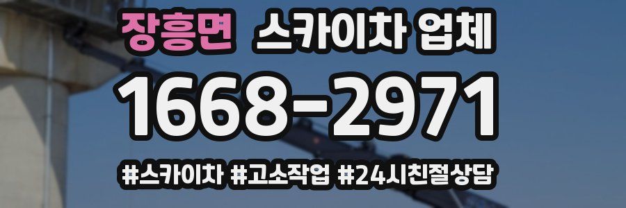 장흥면 스카이차 업체