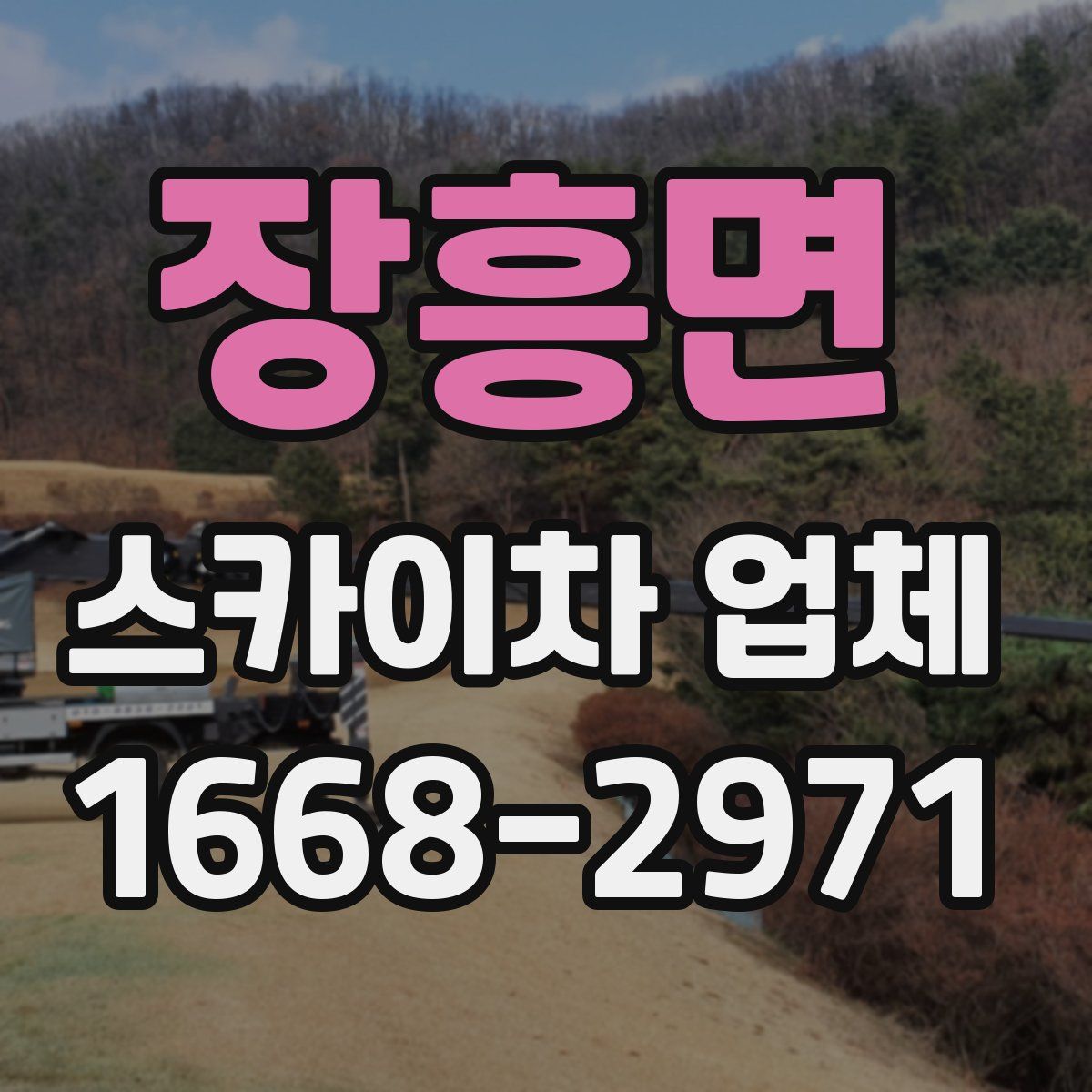 장흥면 스카이차 업체