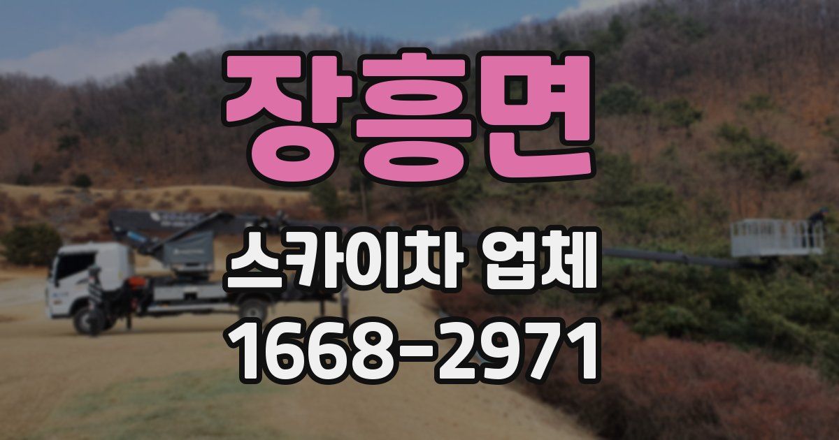 장흥면 스카이차 업체