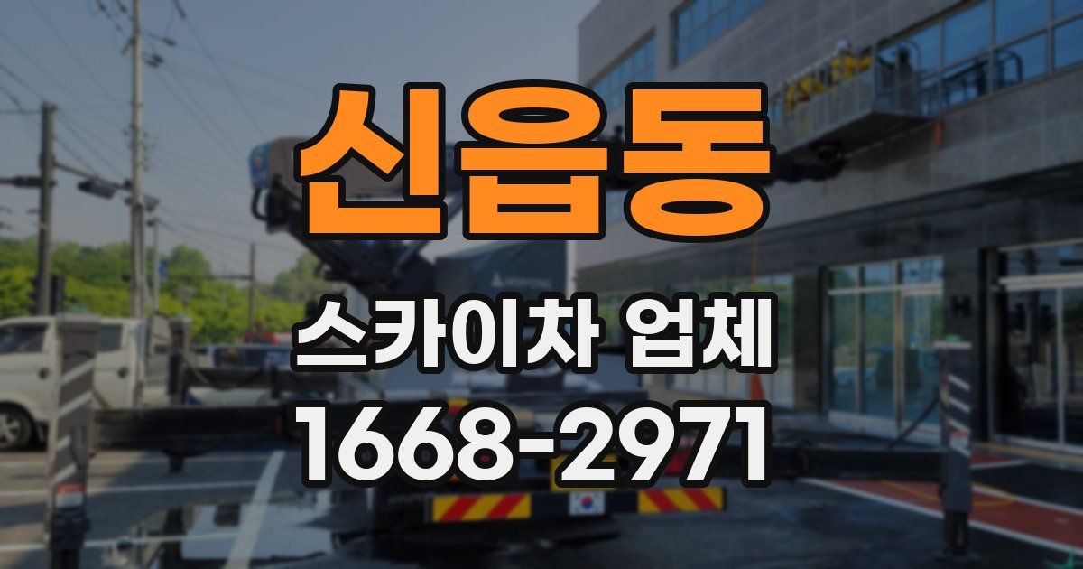 신읍동 스카이차 업체
