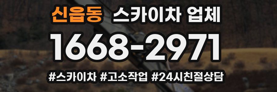 신읍동 스카이차 업체
