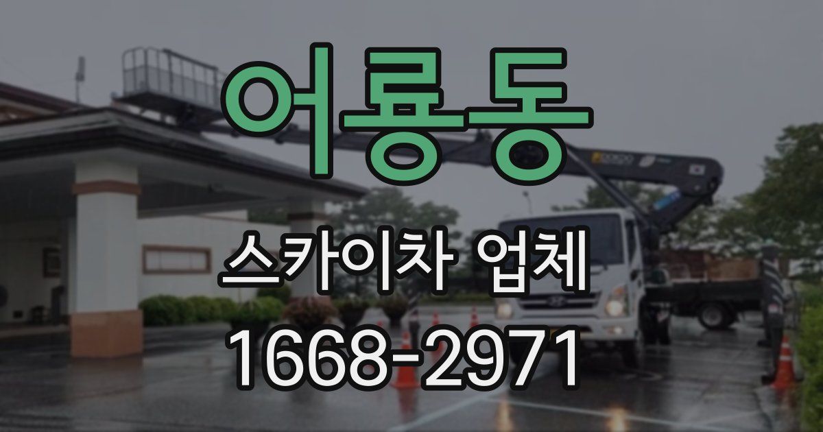 어룡동 스카이차 업체