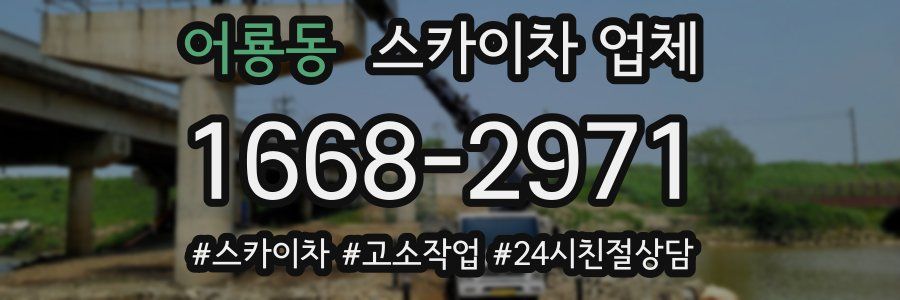 어룡동 스카이차 업체