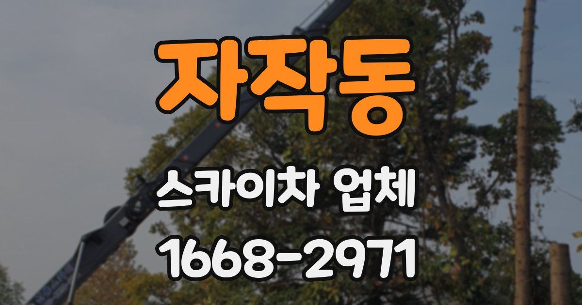 자작동 스카이차 업체