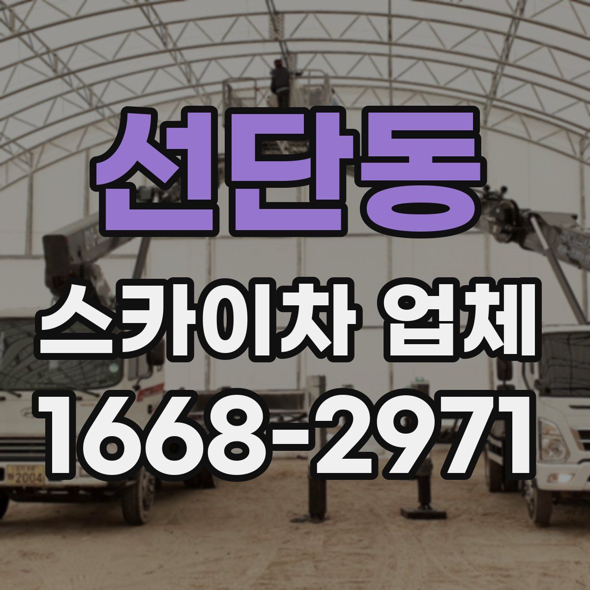선단동 스카이차 업체