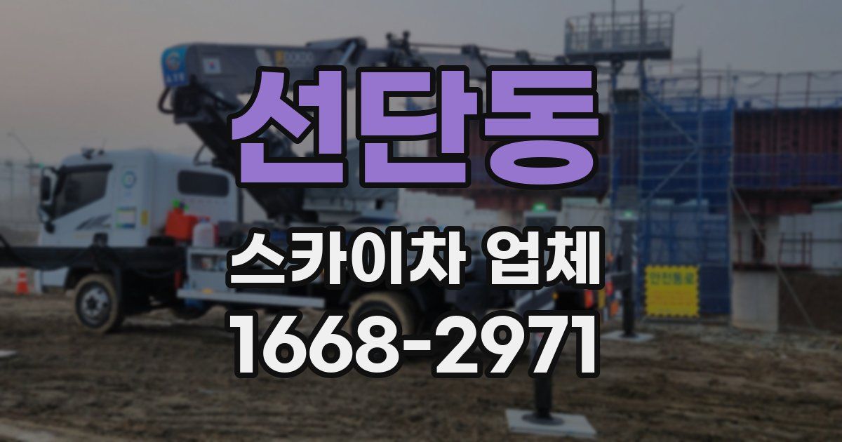 선단동 스카이차 업체