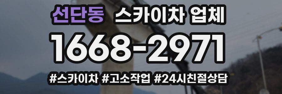 선단동 스카이차 업체