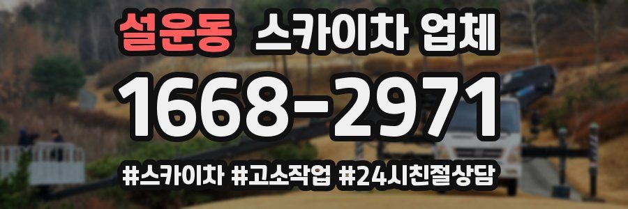 설운동 스카이차 업체