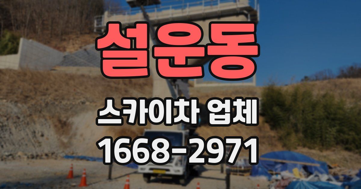설운동 스카이차 업체