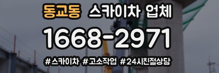 동교동 스카이차 업체