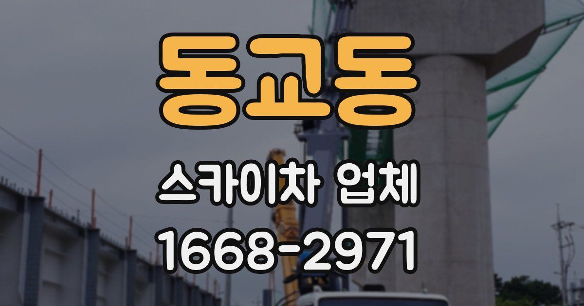 동교동 스카이차 업체