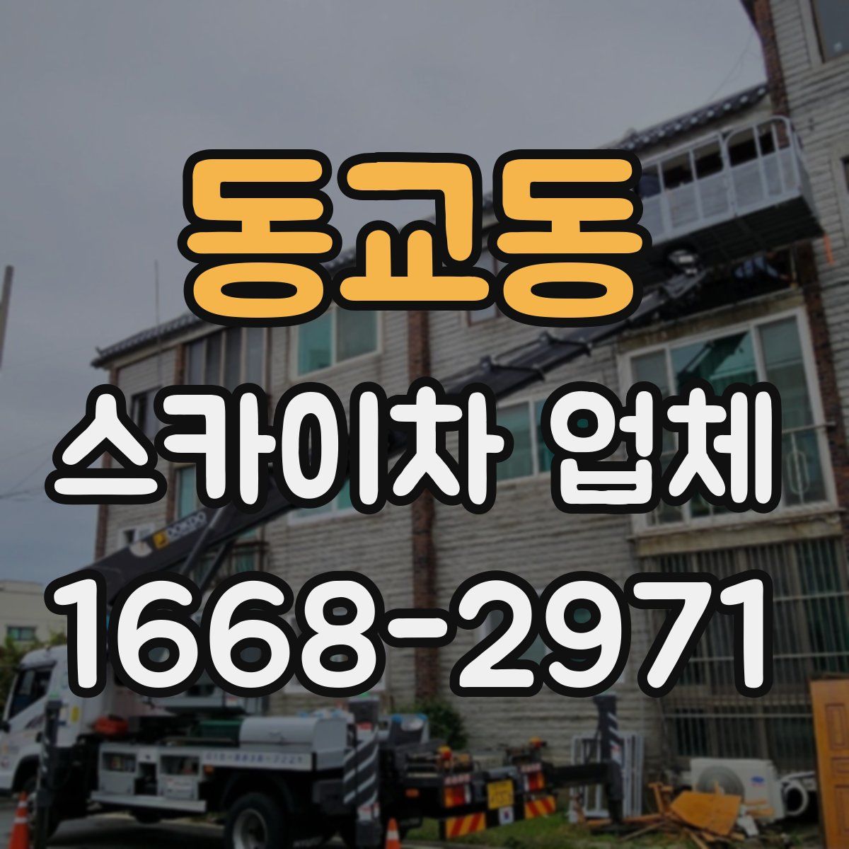 동교동 스카이차 업체