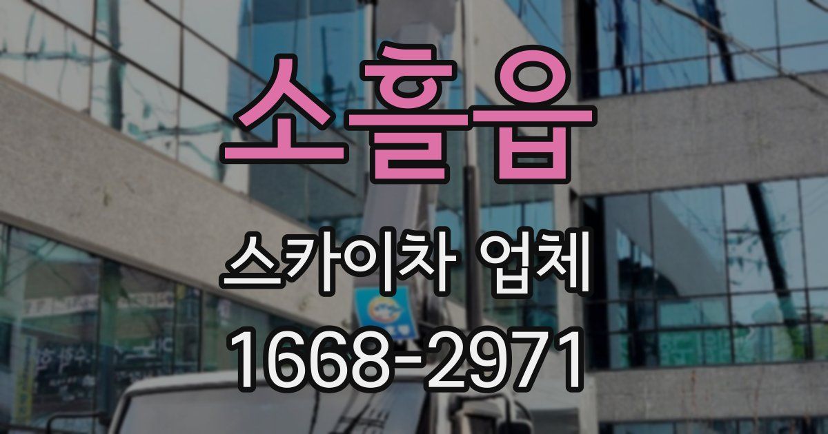 소흘읍 스카이차 업체