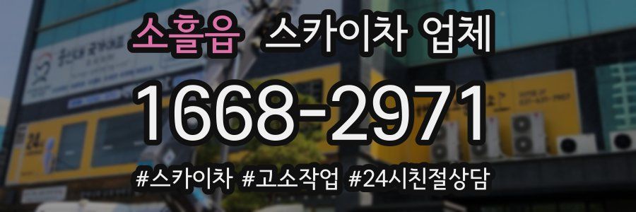 소흘읍 스카이차 업체