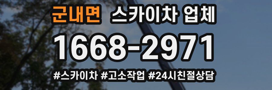 군내면 스카이차 업체