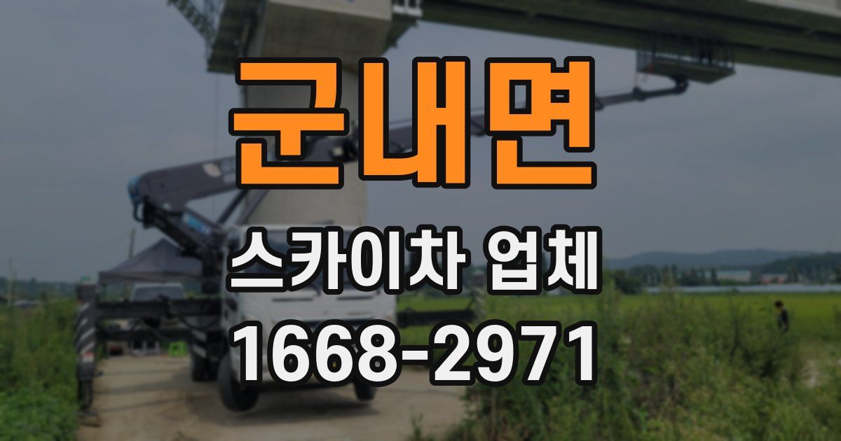 군내면 스카이차 업체