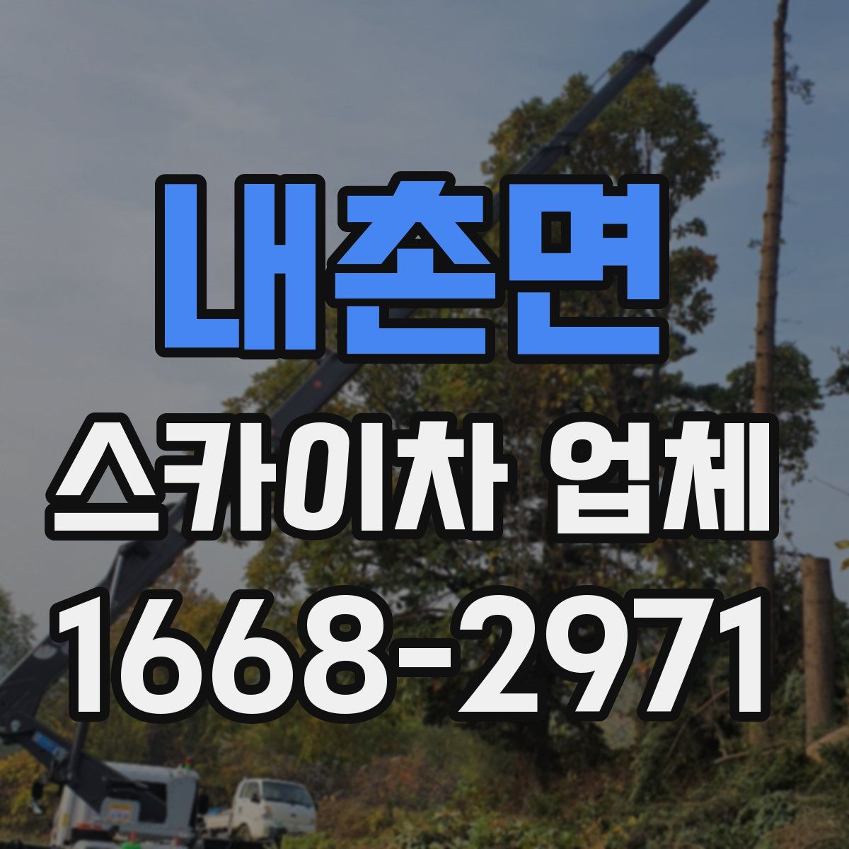 내촌면 스카이차 업체
