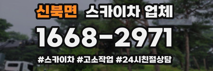 신북면 스카이차 업체