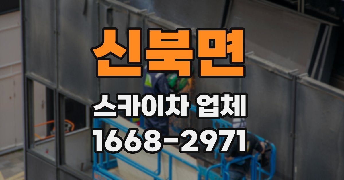 신북면 스카이차 업체